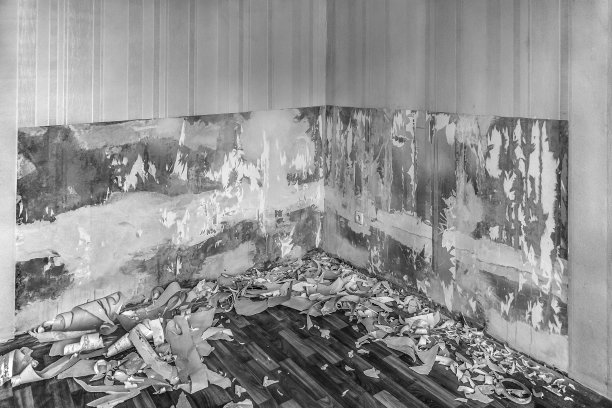 把公寓墙上的墙纸拆下来图片下载