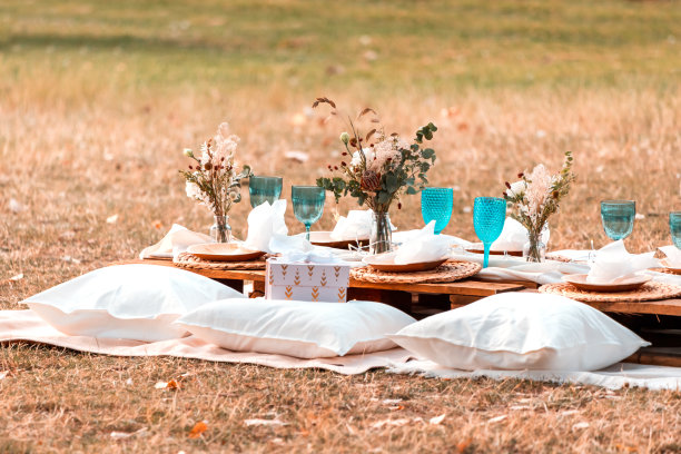 拍摄婚礼或公园派对时用的眼镜、坐垫和鲜花。浪漫的约会图片下载