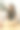 年轻女子在家中使用笔记本电脑。图片下载