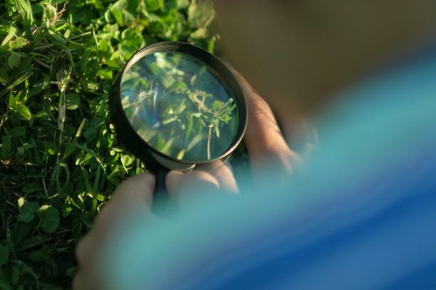 小男孩用放大镜看草地。学龄前儿童正在用放大镜探索大自然。好奇的孩子在树林里。图片下载