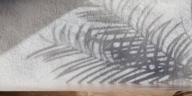 木制的桌子与棕榈阴影在白墙的产品植入显示。现代简约设计与时尚中性审美的美容和化妆品场景。图片下载