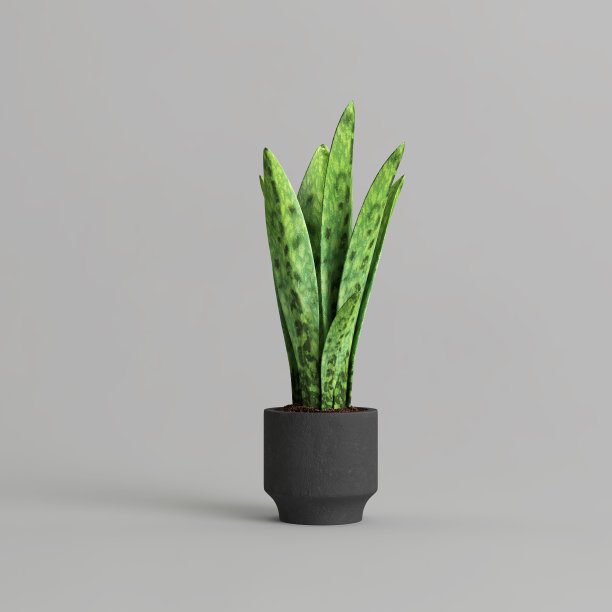 三维插图的盆栽植物孤立在灰色背景图片下载