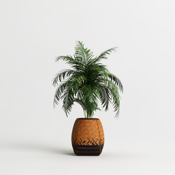 三维插图盆栽植物孤立在白色背景图片下载