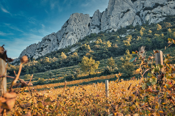 普罗旺斯风景全景图片下载
