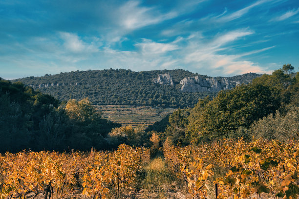 普罗旺斯风景全景图片下载