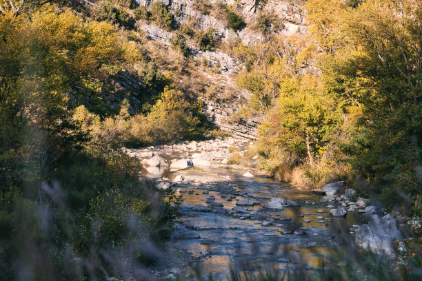 普罗旺斯风景全景图片下载
