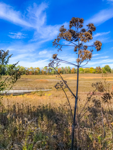秋天的颜色图片下载