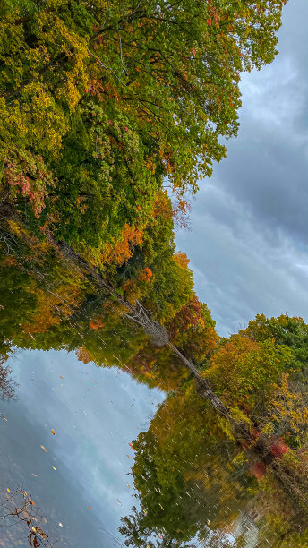 秋天的颜色图片下载