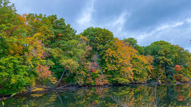 秋天的颜色图片下载