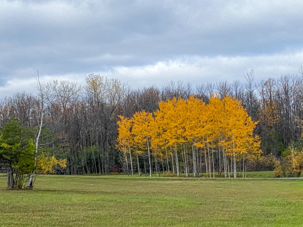 秋天的颜色图片下载