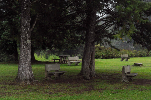 公园照片在雨天和阴天图片下载