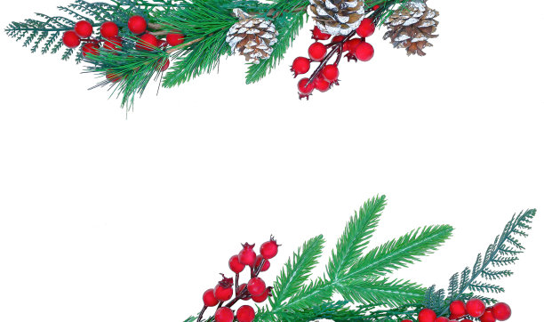 白色背景上装饰冷杉树元素的圣诞设计图片下载