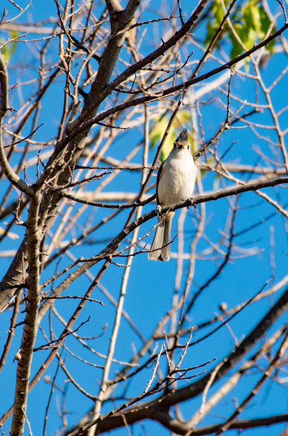 酷帅哥图片下载