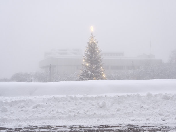 一个大雾天，芬兰小镇上的一棵圣诞树图片下载
