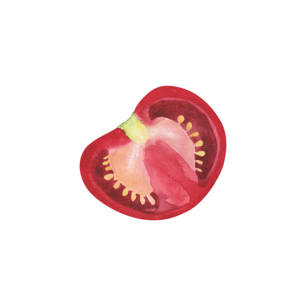 熟番茄片。水彩插图新鲜蔬菜烹饪孤立在白色背景。设计艺术图片下载