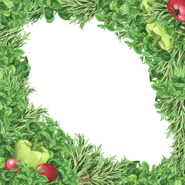撒上迷迭香，罗勒，番茄，辣椒。水彩方框。模板，菜单，海报的插图图片下载