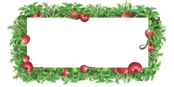 框架与新鲜香草罗勒，番茄，辣椒。水彩矩形边界。模板，海报的插图图片下载