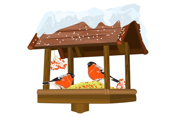 鸟类喂食器与山雀隔离在白色背景。越冬的鸟从喂鸟器中进食。图片下载