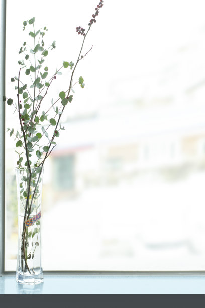 拍摄植物和产品的平台图片下载