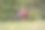 在一个美丽的日子里，在瑞士Versam山村的秋日阳光下，晾在架子上的氯丁橡胶皮划艇衣服。图片下载
