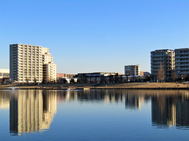 城市和它的倒影。图片下载