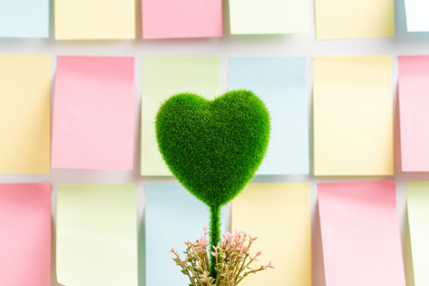 心形植物和便利贴图片下载