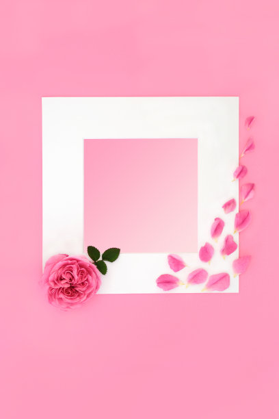 情人节粉红玫瑰图片下载