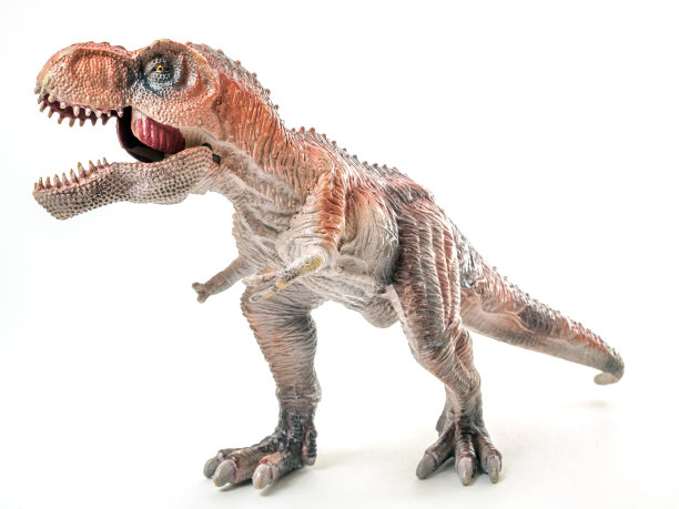 霸王龙模型特写图片下载