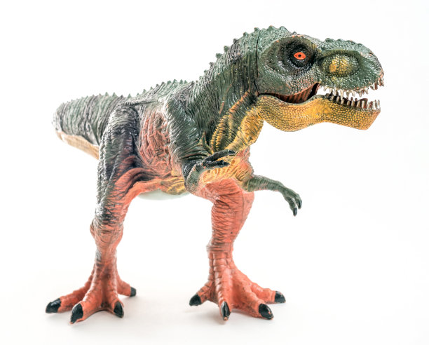 霸王龙模型特写图片下载