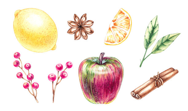 用于热葡萄酒的水彩香料套装图片下载