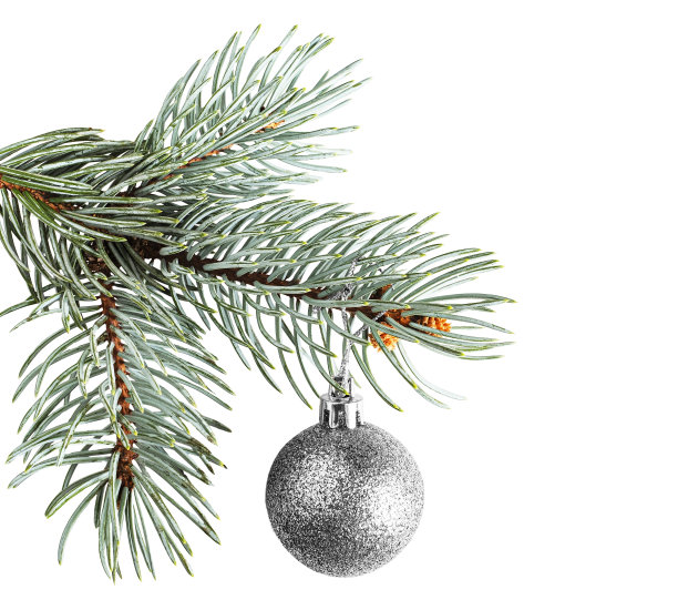 绿色的松枝上挂着银光闪闪的圣诞球，孤立在白色上图片下载