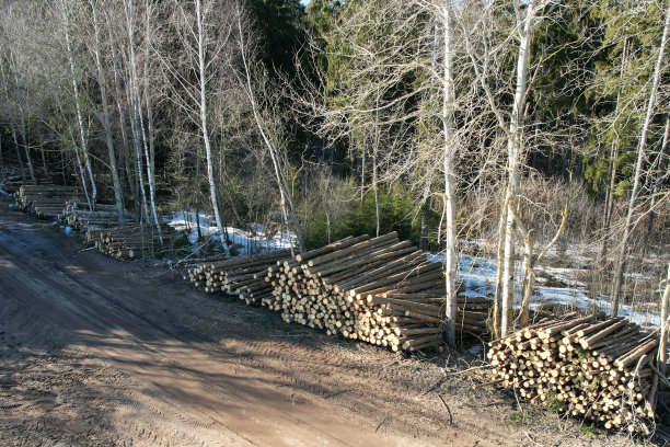 伐木工人制造主题图片下载