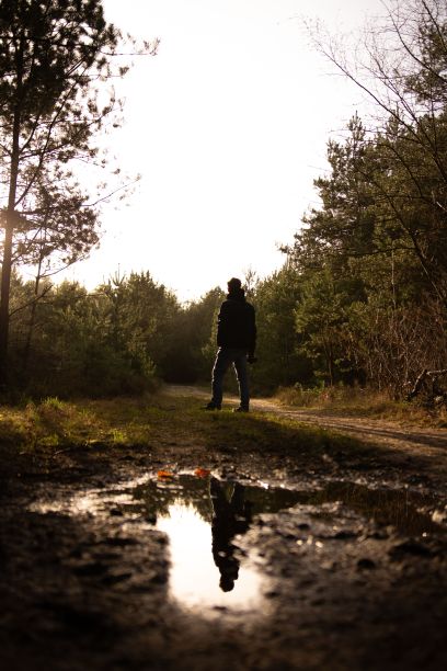 一个男人雨后在森林里的美丽镜头图片下载