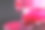 洒了指甲油的特写在一个黑色的背景与一个地方的文本复制空间图片下载