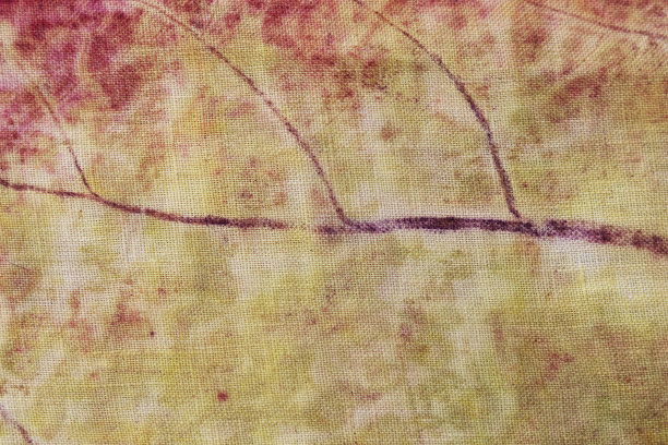 柚木叶的纹理和图案在红色，紫色和黄色的生态印刷工艺。图片下载