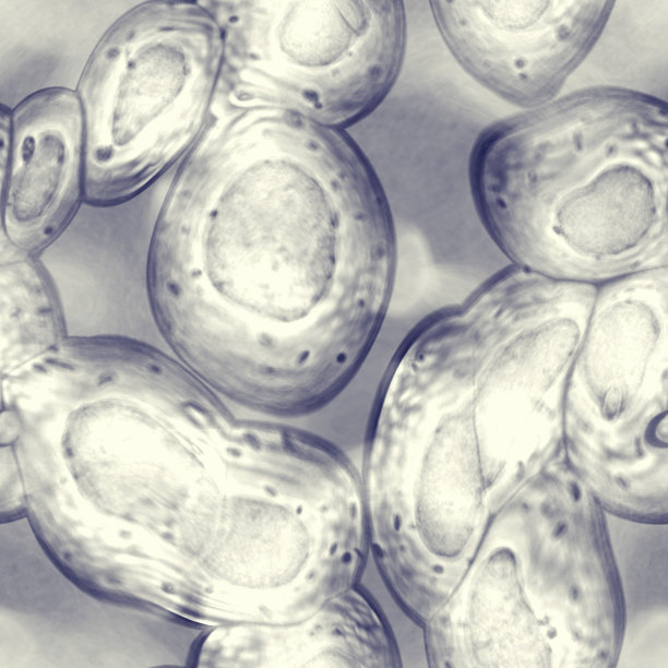 摘要病毒或致病菌细胞图图片下载