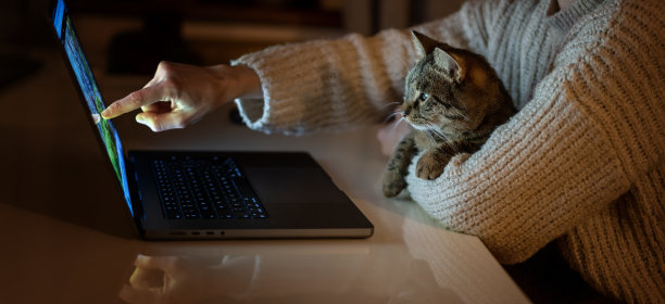 一只漂亮的灰猫在女主人的手里好奇地看着笔记本电脑的屏幕图片下载