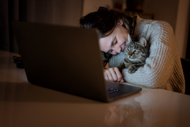 快乐微笑的女人30岁，晚上坐在家里的笔记本电脑前，带着一只灰色的宠物猫图片下载