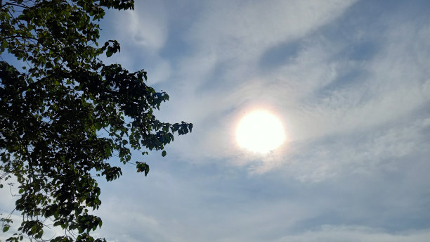 非常炎热的正午景象图片下载