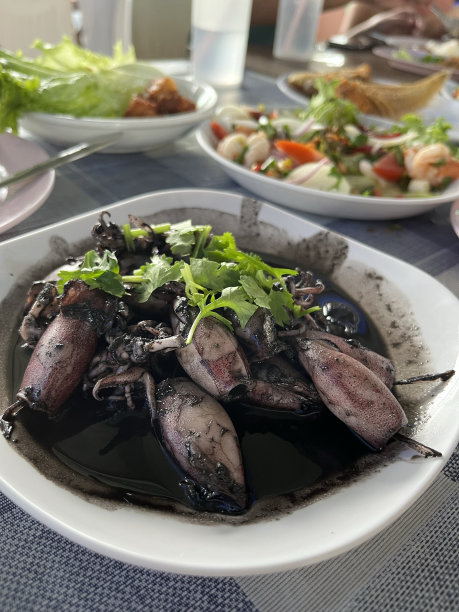 黑色的鱿鱼图片下载