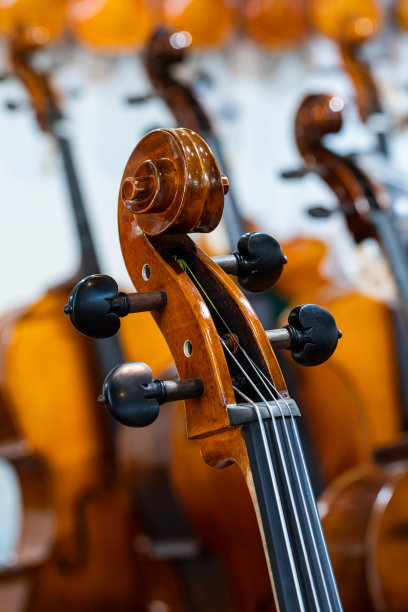 小提琴特写图片下载