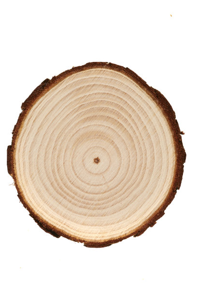 木材表面的样品特写。图片下载