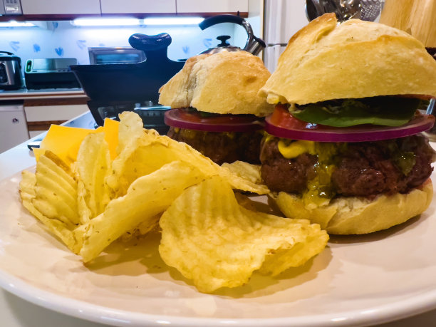 美味的野味鹿肉野味鹿肉汉堡照片系列图片下载