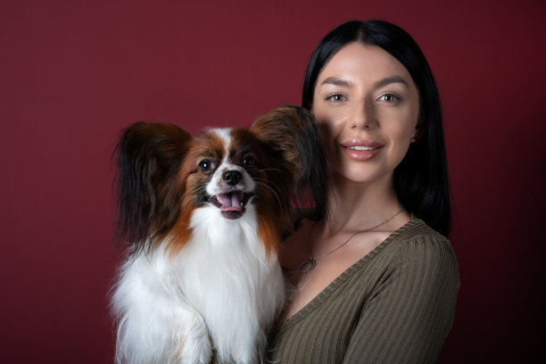 年轻女子与纯种快乐蝶耳犬在手。大陆猎犬。家畜与人画像图片下载