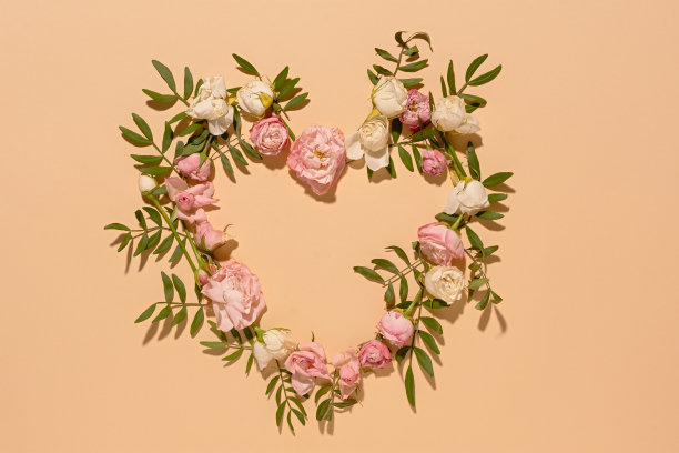 一颗粉红玫瑰的心。图片下载