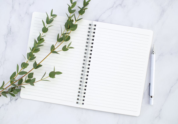 花和日记模型图片下载