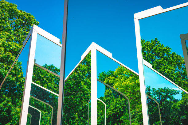 树木的倒影图片下载