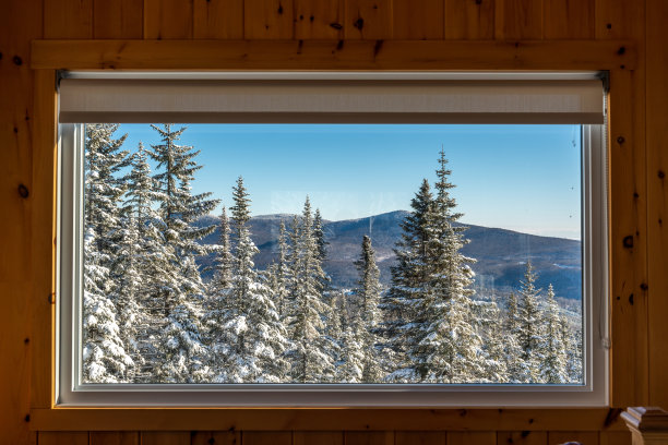 魁北克冬季景观。图片下载