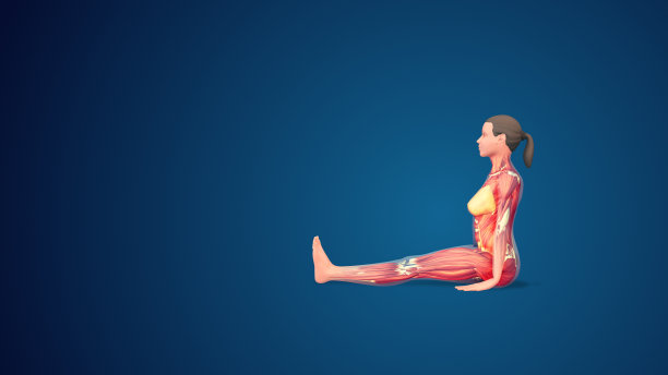 蓝色背景上的3D人体丹达萨纳或工作人员瑜伽姿势图片下载