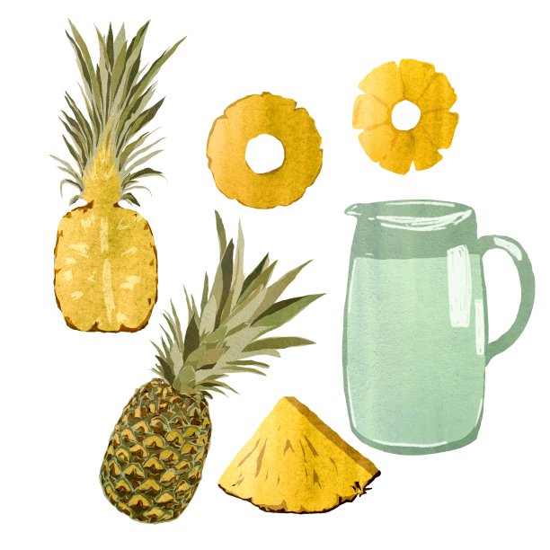 菠萝水果柠檬水滗水器设置水彩图片下载